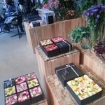 Nicolai Bergmann NOMU - 