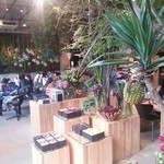 Nicolai Bergmann NOMU - 