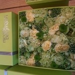 Nicolai Bergmann NOMU - 