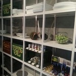 Nicolai Bergmann NOMU - 