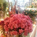 Nicolai Bergmann NOMU - 