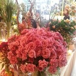 Nicolai Bergmann NOMU - 