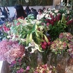 Nicolai Bergmann NOMU - 