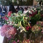 Nicolai Bergmann NOMU - 