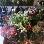 Nicolai Bergmann NOMU - 