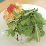 コトラcafe - ランチのサラダと本日の前菜