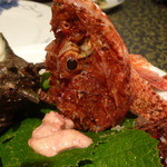 オーベルジュあかだま - 