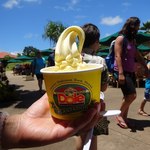Dole Plantation - ドールプランテーション名物ドールホイップ：5.25＄パイナップルのソフトクリームです。