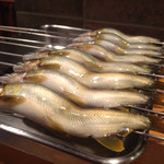 新ばし 星野 - 2015年7月初旬。