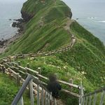 39788832 - 【2015年07月】神威岬展望台に向かって歩いてます、景色もなかなかイイ感じ。