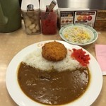 Kareshoppushiandoshi - 日替わりランチカレー：ビーフメンチカツカレー