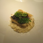 カゲロウ - 鰻と山椒、木の芽のリゾット