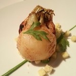 レフェルヴェソンス - 