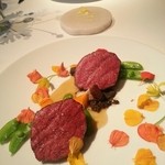 レフェルヴェソンス - 