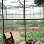 ラ トラットリア エストルト - 