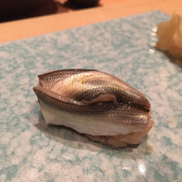 神楽坂 鮨 りん - しんこ、たまりません(￣▽￣)