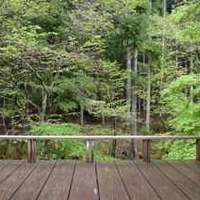 美山荘 - 部屋からの新緑