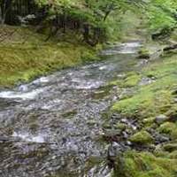 美山荘 - 建物のそばを流れる渓流
