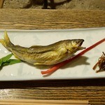 奥飛騨 福地温泉 山里のいおり 草円 - 