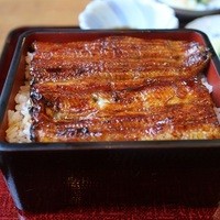 矢内 - うな重（松）