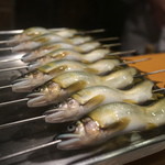 新ばし 星野 - 2015/7 天竜川（横川川）産天然鮎塩焼き