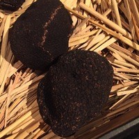 マルゴット エ バッチャーレ - 