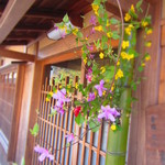 草喰 なかひがし - 入り口脇の花