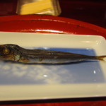 草喰 なかひがし - 鰯