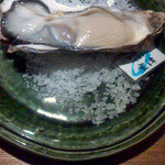 たらふく　うなり - 追加の室津産真牡蠣 税抜き360円