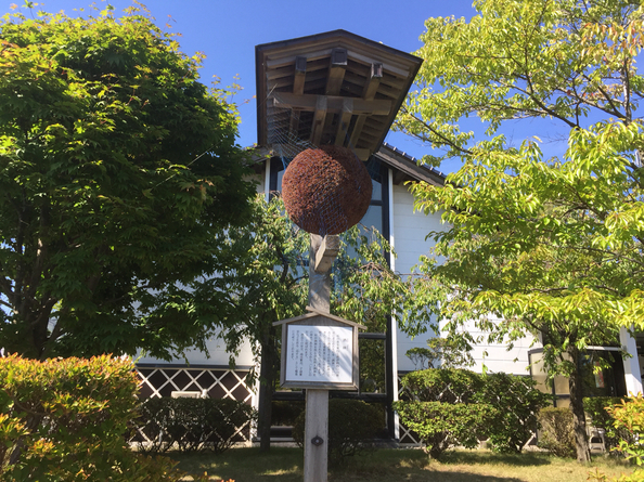 初孫 蔵探訪館 - 酒田（日本酒バー）の写真