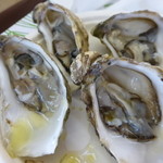 IL PESCE FRESCO - 料理写真: