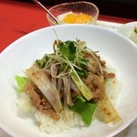揚子江 - 焼き肉丼セットのミニ焼き肉丼