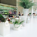 Fusion21 - 明るい空間