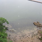 鳥羽国際ホテル - 