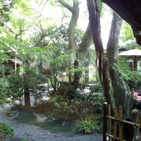 山ばな平八茶屋 - 内庭