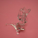 ビー・バー・マルノウチ - おヌコさま