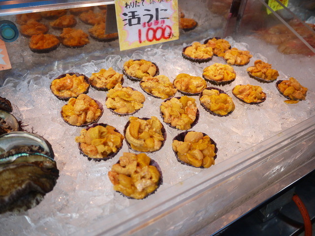 Uni Dokoro Yoshioka photo 5