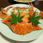 藤吉 - 国産わたりがにを食べる会(6900円・外税)の蒸しわたりがに1杯