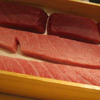 松栄 恵比寿本店 - 