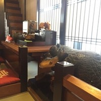 かに道楽 新宿本店 - 