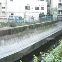 coci - 