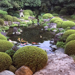 松阪 海津 - お庭