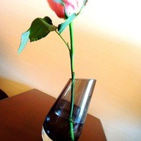 ル・クール神戸 - 