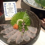 近畿大学水産研究所 グランフロント大阪店 - 今日のおすすめ