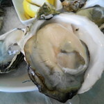 でっかい！岩牡蠣