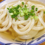 純手打ち讃岐うどん 綾 - ひやあつ 大