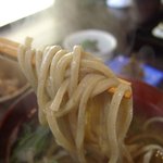 Teuchi Soba Mitani - 麺ＵＰ【2010年3月】