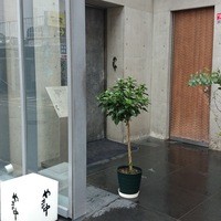 やま中・本店　鮨と日本料理　 - 