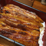 活鰻の店 つぐみ庵 - 鰻重４５００円。これは美味しい！