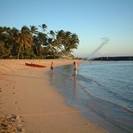 Paradise Cove Luau - フキラウ･セレモニー(地引き網漁)